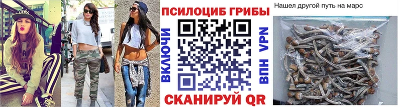 Купить закладки  Гусь-Хрустальный  Галлюциногенные грибы Psilocybine cubensis 